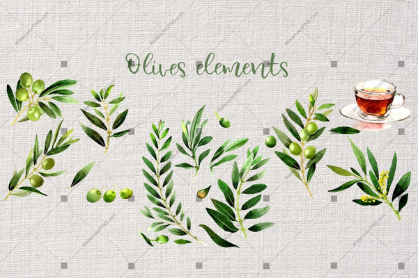 Branches Of Olive Tree Png Watercolor Set Digital