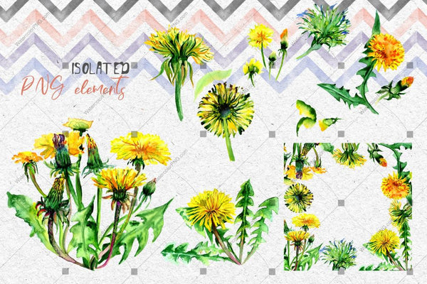Bright Yellow Dandelion Png Watercolor Set Digital