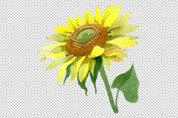 Bright yellow sunflower watercolor png Flower