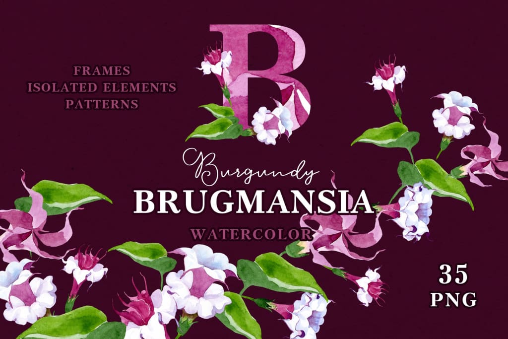 Burgundy Brugmansia Watercolor png Digital