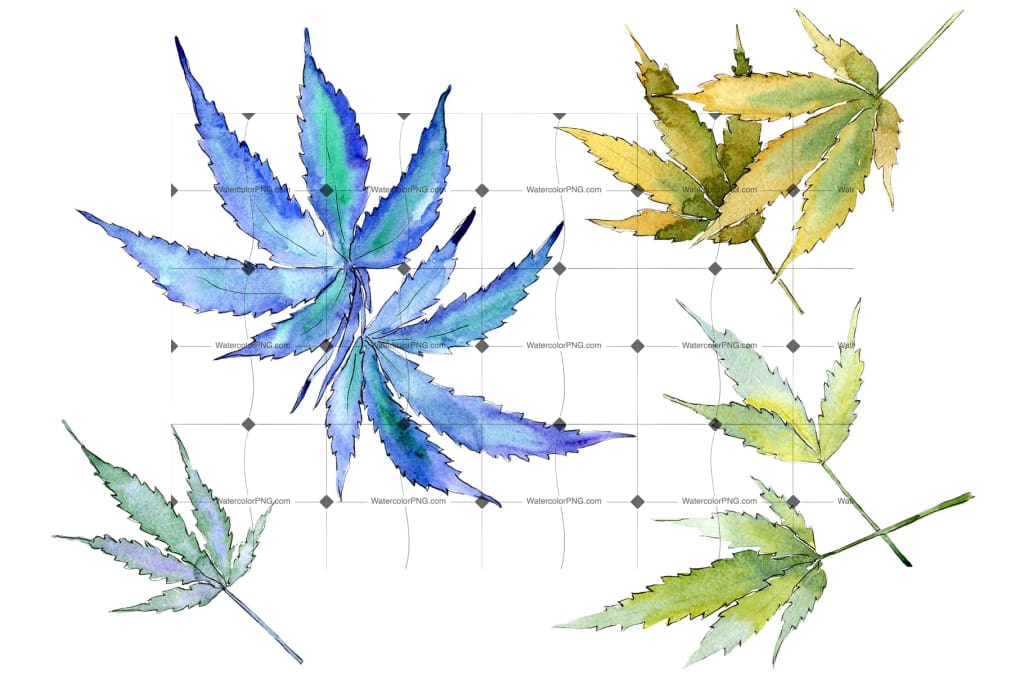 Cannabis Leaves Png Watercolor Set Digital