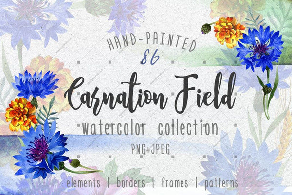 Carnation Field Png Watercolor Set Digital
