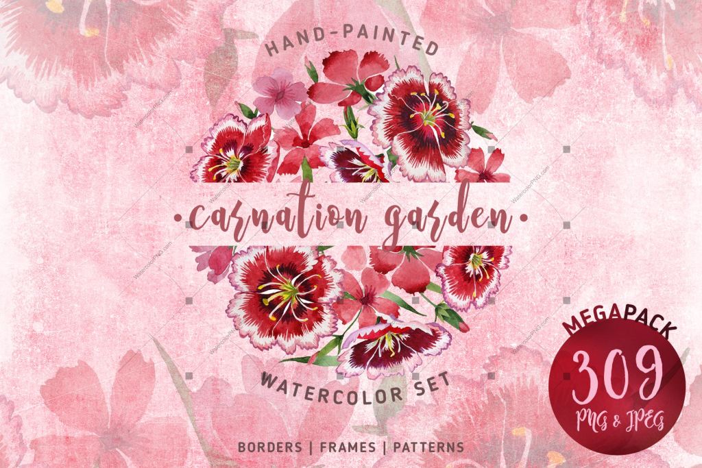 Carnation Garden Png Watercolor Set Digital