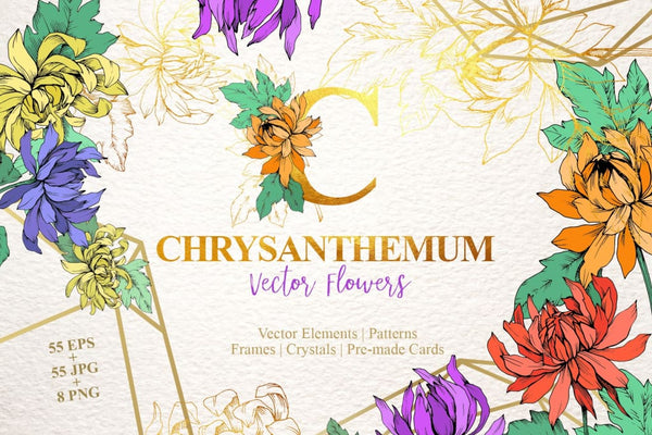 Chrysanthemum Vector Flowers Digital