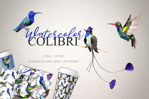 Colibri Watercolor png Digital
