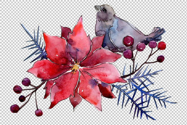 Collection Christmas miracle watercolor png Flower