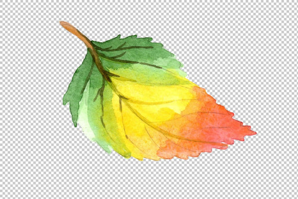 Colorful autumn leaves watercolor png set Flower