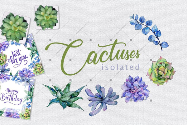 Colorful Cactuses Png Watercolor Set Digital