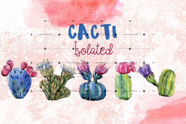 Cool Cacti Tropical Flower Png Watercolor Set Digital