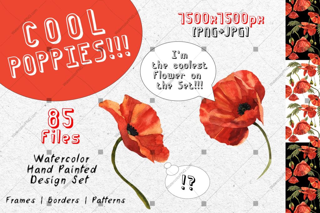 Cool Poppies Png Watercolor Set Digital