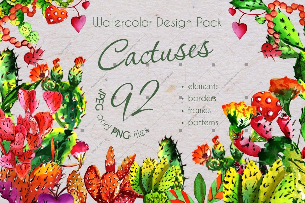 Cool Tropical Cactus Png Watercolor Set Digital