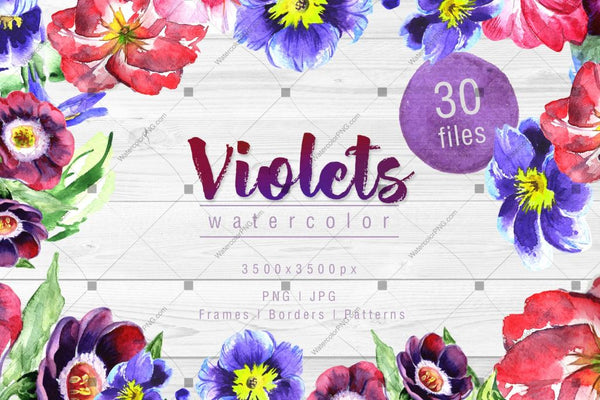 Cool Violets Png Watercolor Flower Set Digital