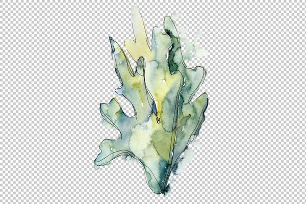 Coral acabaria watercolor png Flower