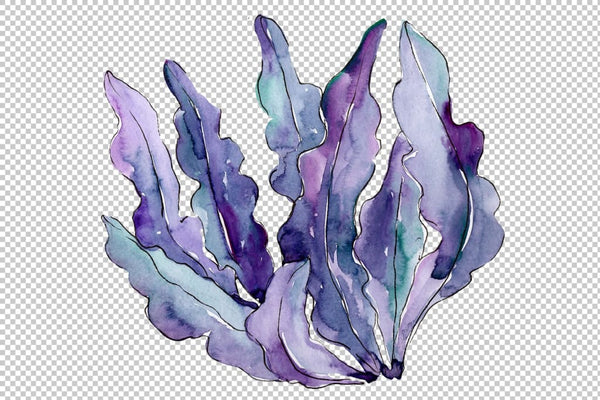 Coral sarcophiton watercolor png Flower