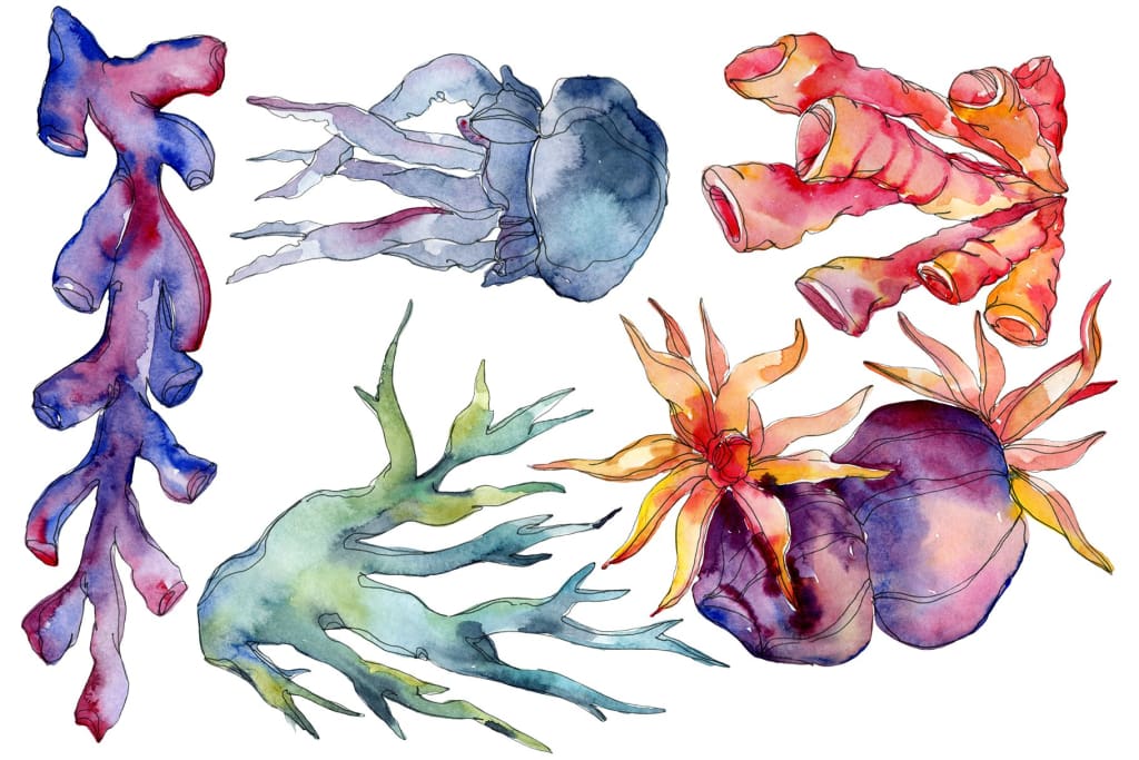 Corals blue red and green watercolor png Flower