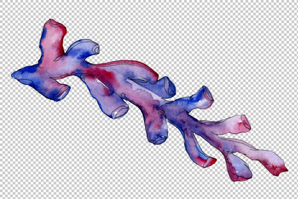 Corals blue red and green watercolor png Flower