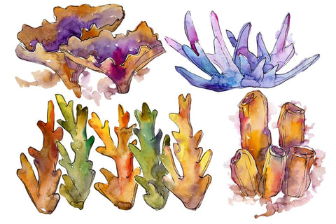 Corals joy of nature watercolor png Flower
