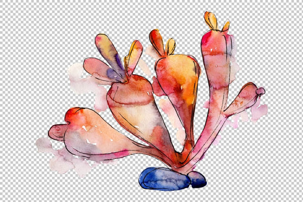 Corals Seafood Watercolor png Flower