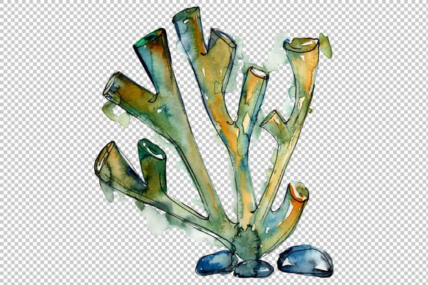 Corals Seafood Watercolor png Flower