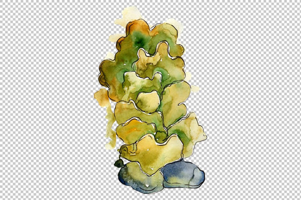 Corals Seafood Watercolor png Flower