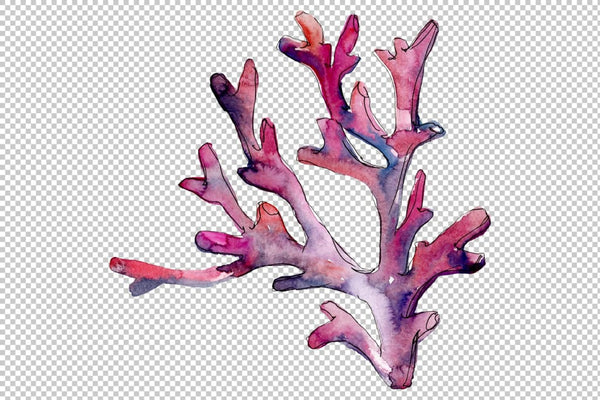 Corals seascape watercolor png Flower