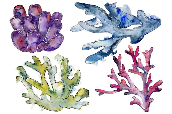 Corals seascape watercolor png Flower