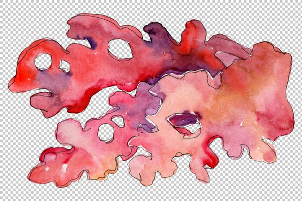 Corals Watercolor png Flower