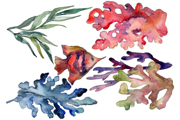 Corals Watercolor png Flower