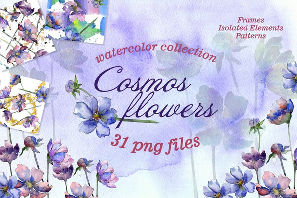 Cosmos flowers Watercolor png Digital