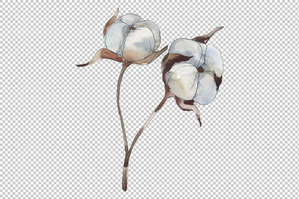 Cotton Watercolor png Flower