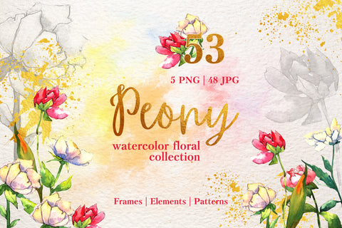 Peony Watercolor png