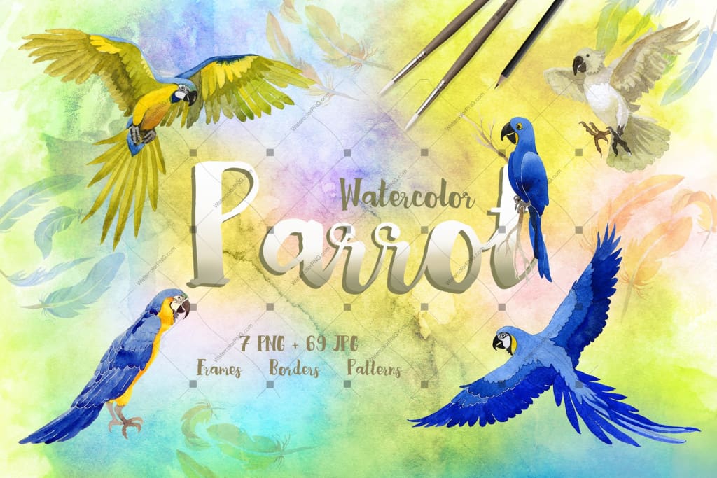 Watercolor Cool Parrot Png Bird Set Digital