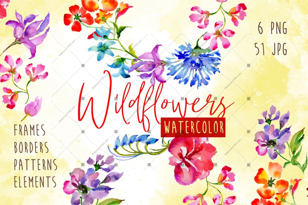Wildflowers Watercolor Png Set Digital