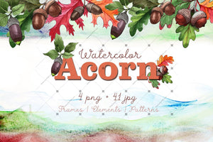 Autumn Acorn Leaf And Plant Png Watercolor Set Digital