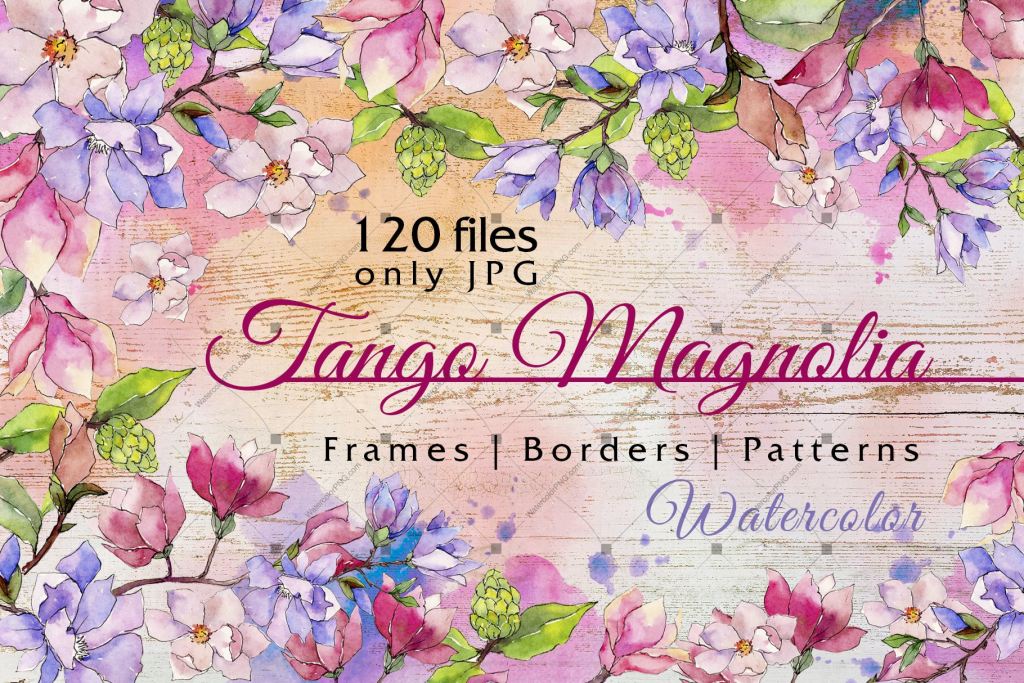 Jango Magnolia Jpg Watercolor Set Digital