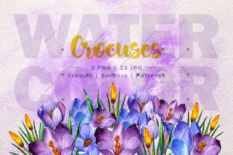 Blue And Purple Crocuses Png Watercolor Set Digital