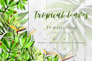 Tropical Leaves Png Watercolor Set Digital