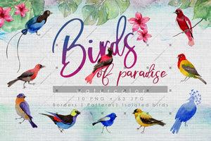 Birds Of Paradise Png Watercolor Set Digital
