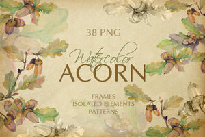Acorn Watercolor png