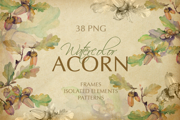 Acorn Watercolor png
