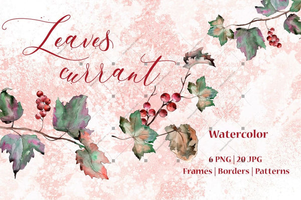 Leaves Currant Png Watercolor Set Digital