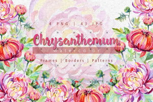 Tender Pink Chrysanthemum Png Watercolor Set Digital
