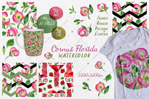 Cornus Florida Flowers Png Watercolor Set Digital