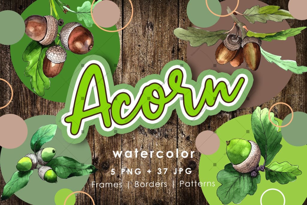 Acorn Plant Png Watercolor Set Digital