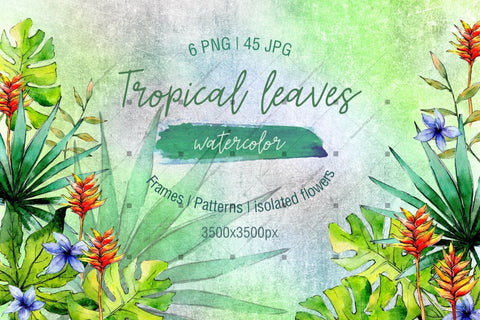 Green Tropical Leaves Png Watercolor Set Digital