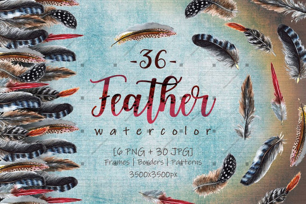 Delightful Feathers Png Watercolor Set Digital