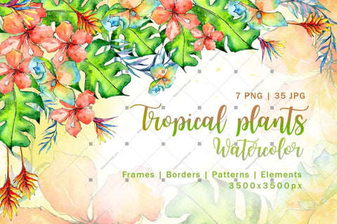 Tropical Plant Png Watercolor Set Digital
