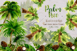Palm Tree Png Watercolor Set Digital