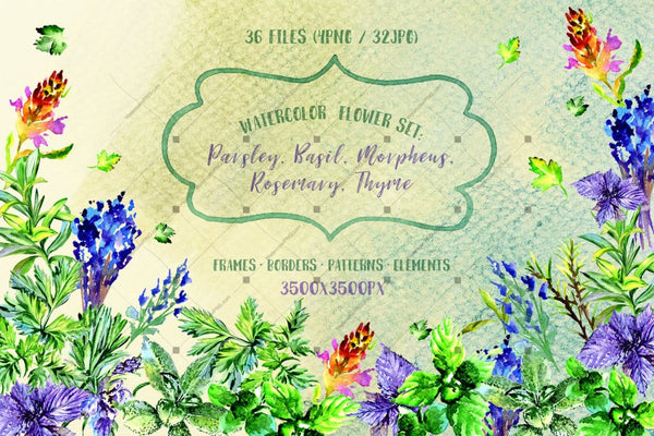 Bouquet Of Herbs Png Watercolor Set Digital