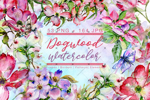 Cool Dogwood Colorful Flower Png Watercolor Set Digital